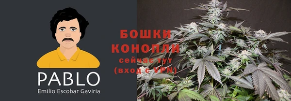 крисы Нефтекумск