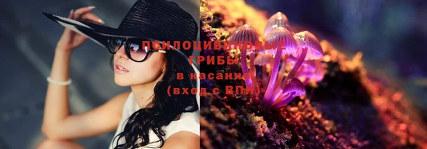 apvp Нея
