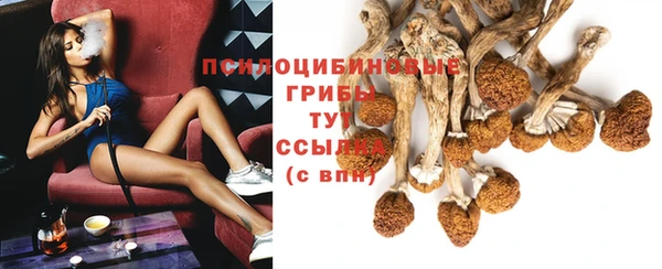 крисы Нефтекумск
