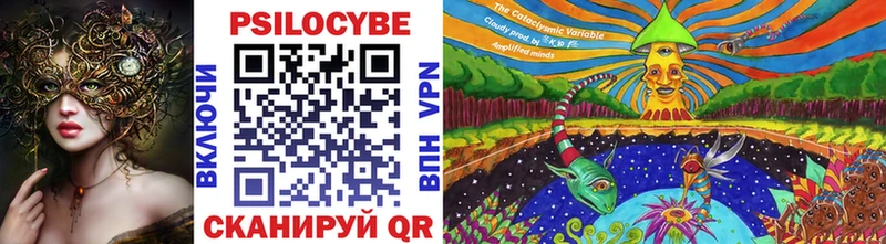 Купить где  Полесск  Галлюциногенные грибы MAGIC MUSHROOMS 